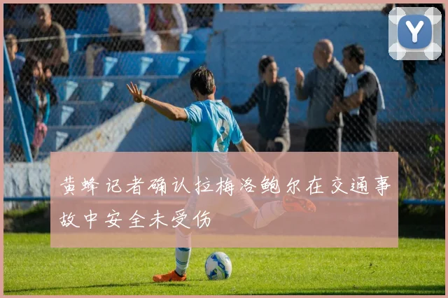 黄蜂记者确认拉梅洛鲍尔在交通事故中安全未受伤